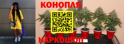 гашик Гусиноозёрск