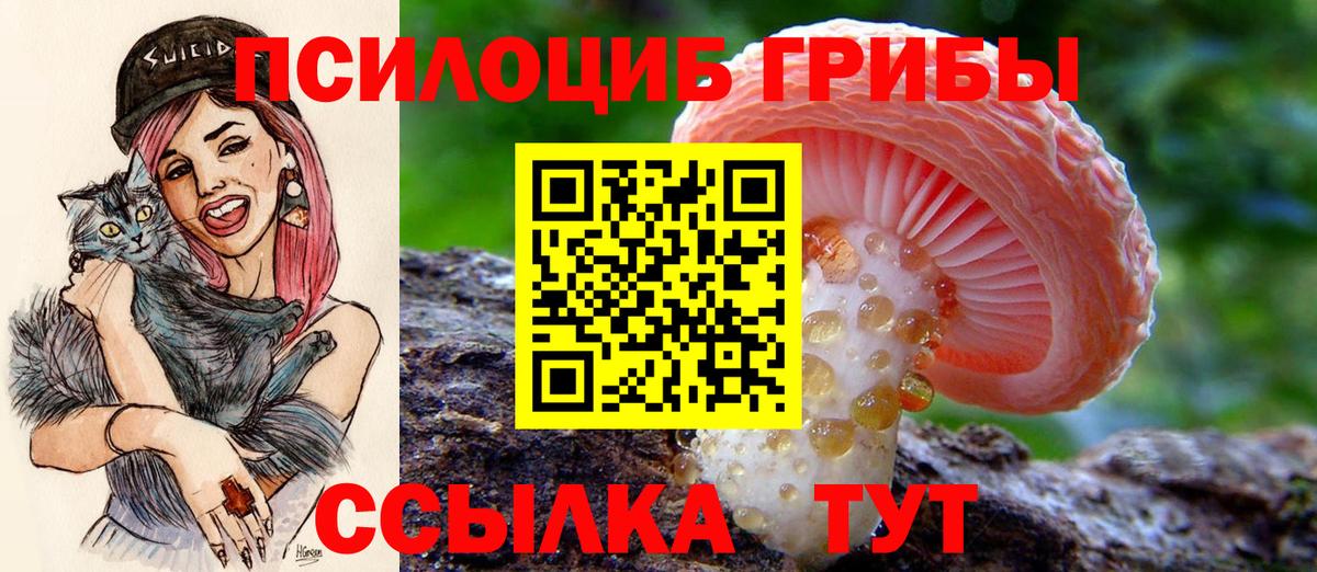 Псилоцибиновые грибы ЛСД Нарткала