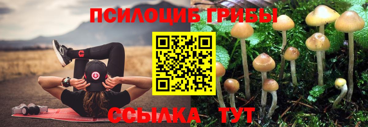Нарткала  Псилоцибиновые грибы GOLDEN TEACHER  Вход с VPN 