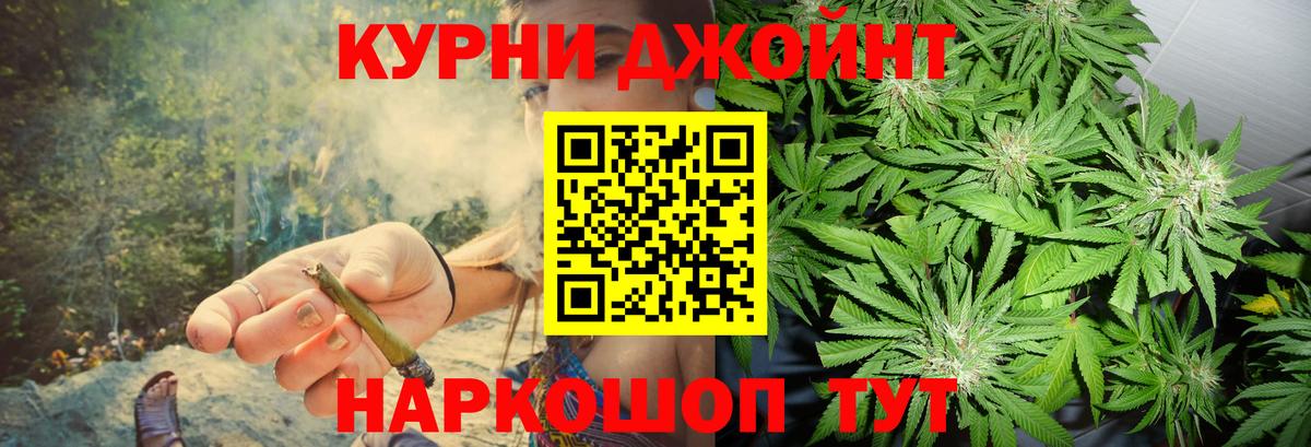 Конопля гибрид  Вход с VPN  Канабис семена  Нарткала 
